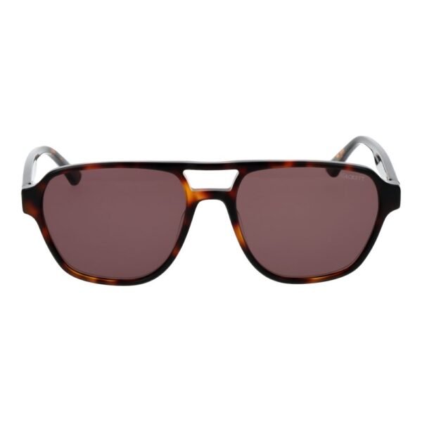 Brown Acetate Sunglasses