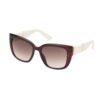 Brown Resin Sunglasses