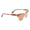 Brown Acetate Sunglasses