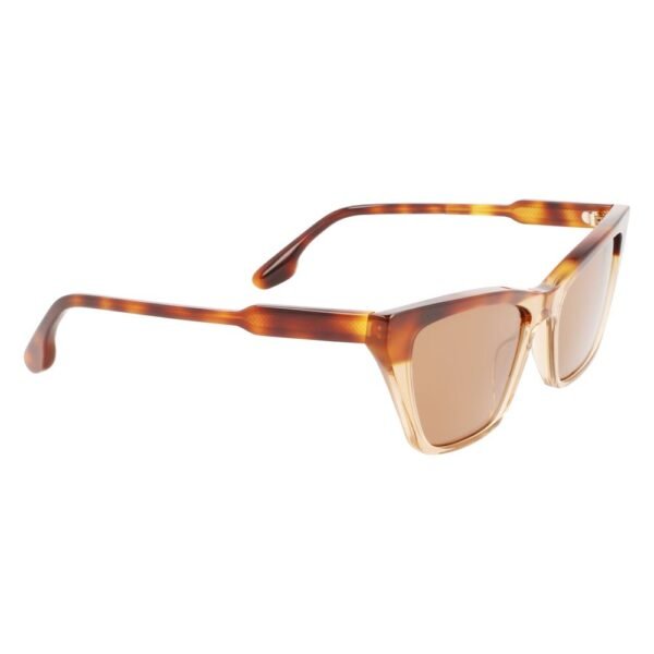 Brown Acetate Sunglasses