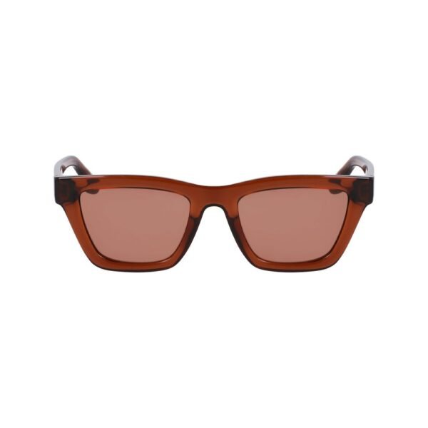 Brown Injected Sunglasses