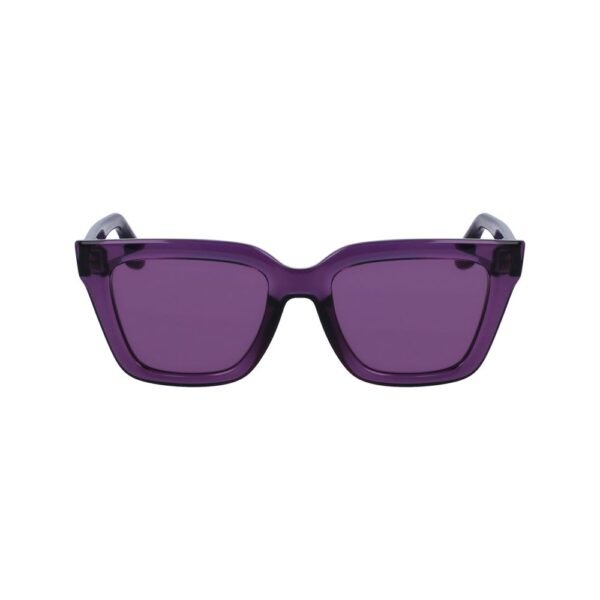 Purple Injected Sunglasses