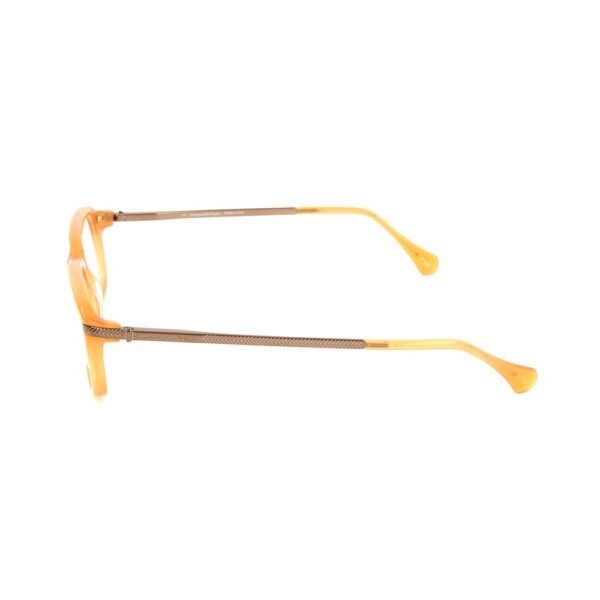 Bicolor Acetate Glasses (Frames)