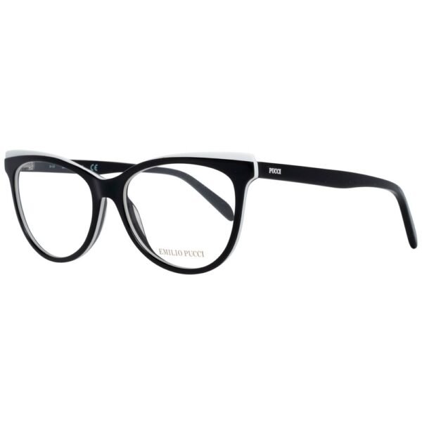 Black Plastic Glasses (Frames)