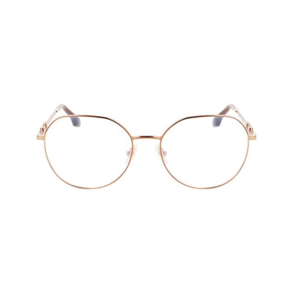 Brown Metal Glasses (Frames)