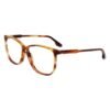 Brown Acetate Glasses (Frames)
