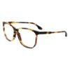 Brown Acetate Glasses (Frames)