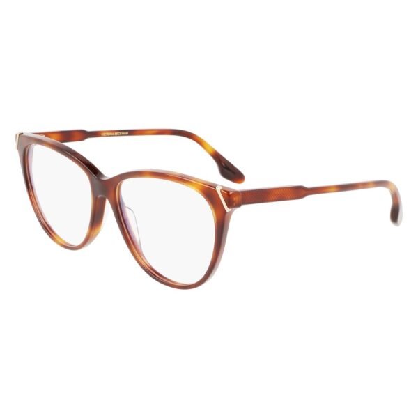 Brown Acetate Glasses (Frames)