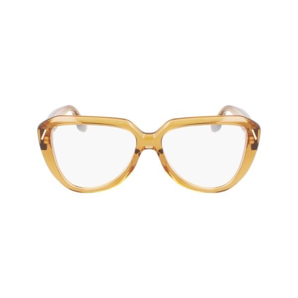 Brown Acetate Glasses (Frames)