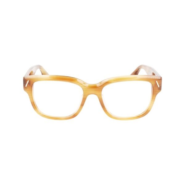 10073127.jpeg Gold Acetate Glasses (Frames)