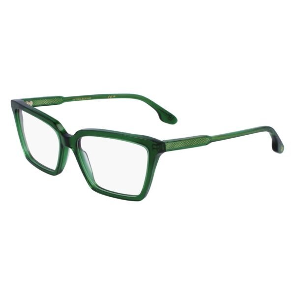 Bicolor Acetate Glasses (Frames)