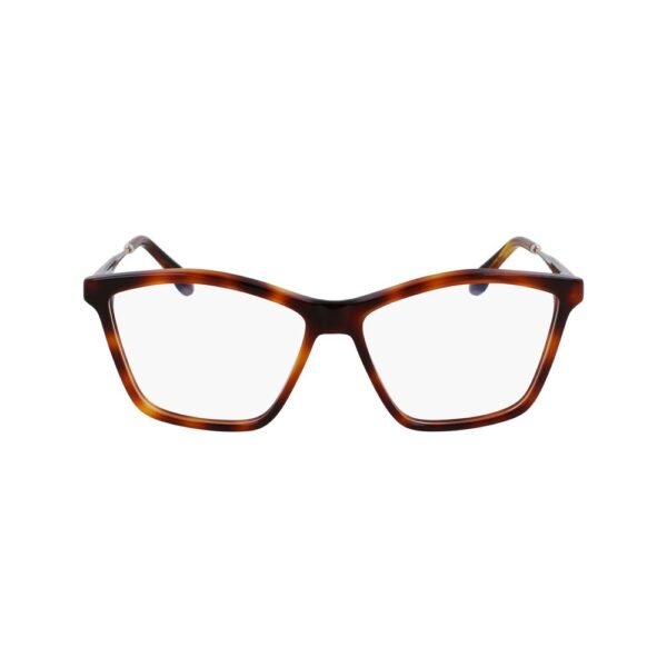 Brown Acetate Glasses (Frames)