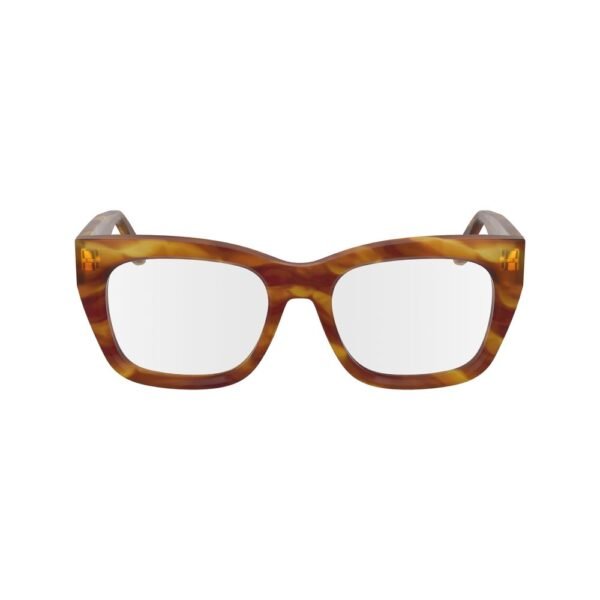 Brown Acetate Glasses (Frames)
