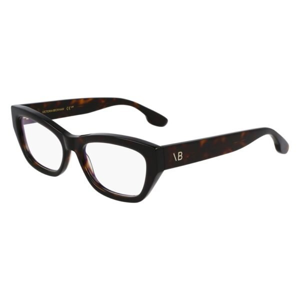 Brown Acetate Glasses (Frames)