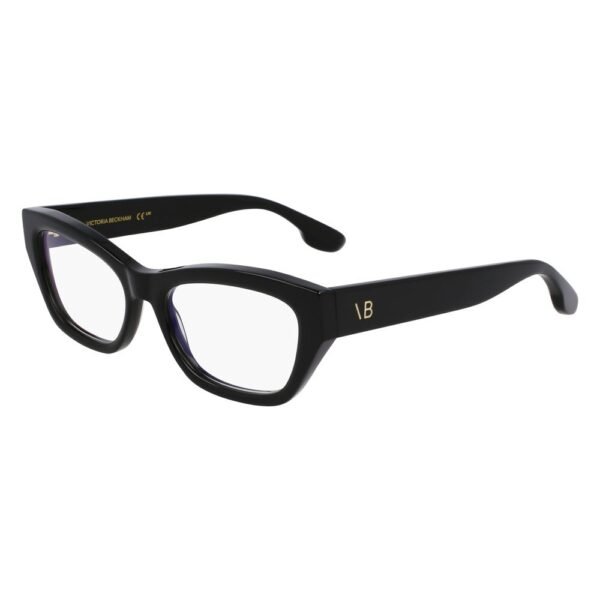 Black Acetate Glasses (Frames)