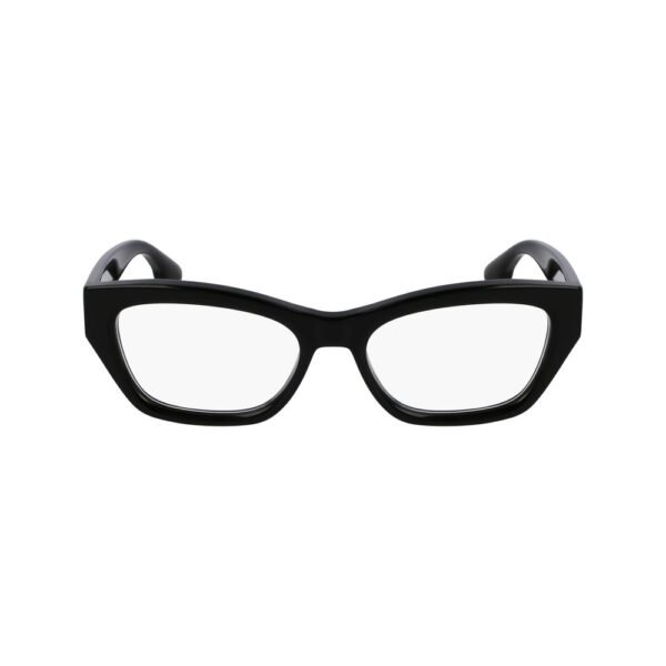 Black Acetate Glasses (Frames)
