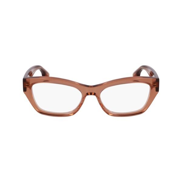 Multicolor Acetate Glasses (Frames)