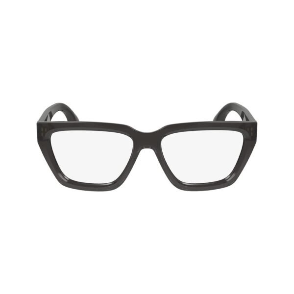 Gray Injected Glasses (Frames)
