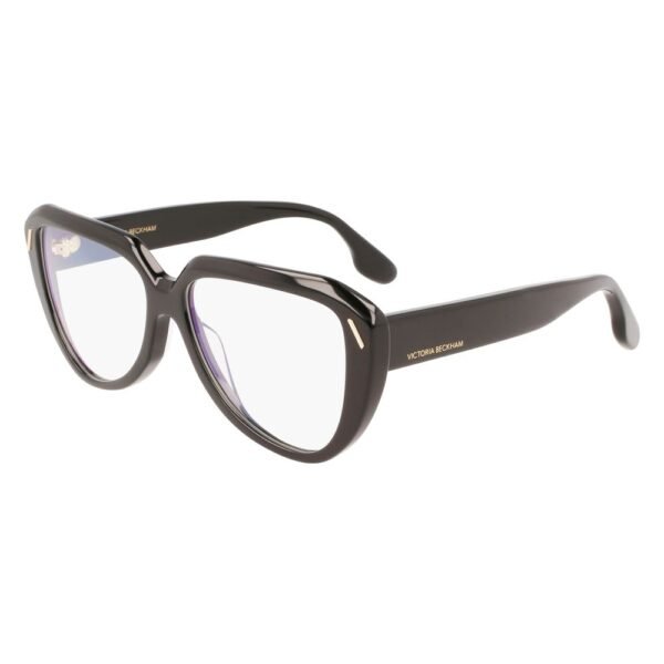 Black Acetate Glasses (Frames)