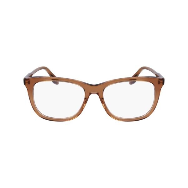Brown Acetate Glasses (Frames)