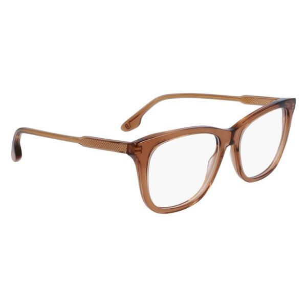 Brown Acetate Glasses (Frames)