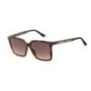 Brown Resin Sunglasses