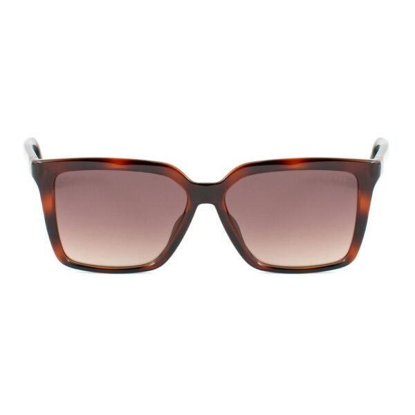 Brown Resin Sunglasses