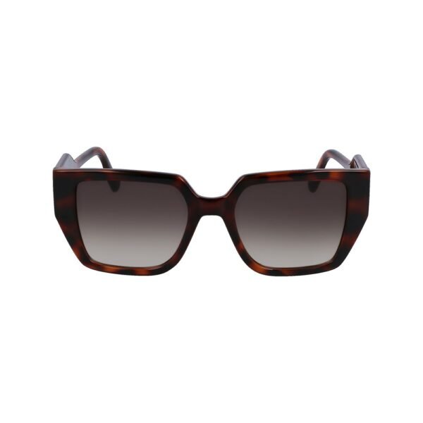 Brown Injected Sunglasses