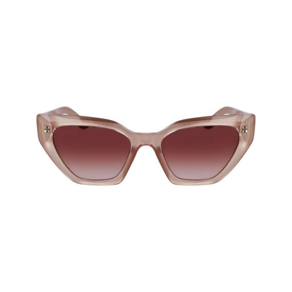 Brown Injected Sunglasses