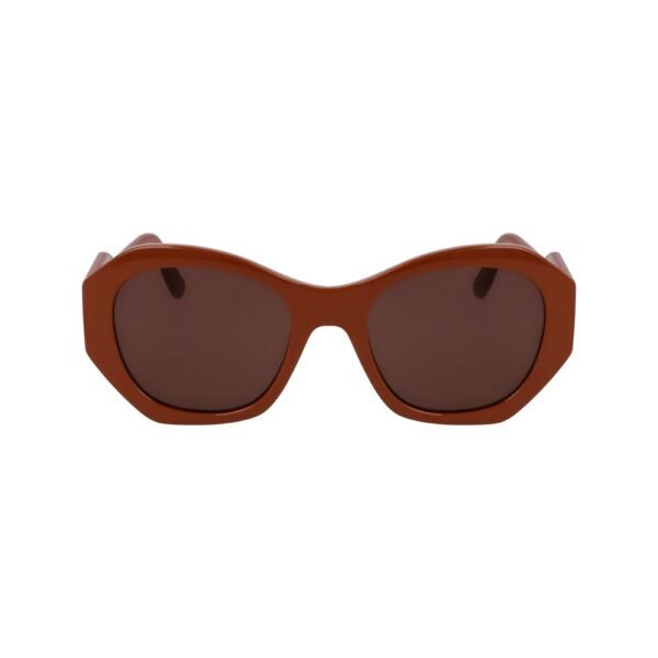 Brown Injected Sunglasses