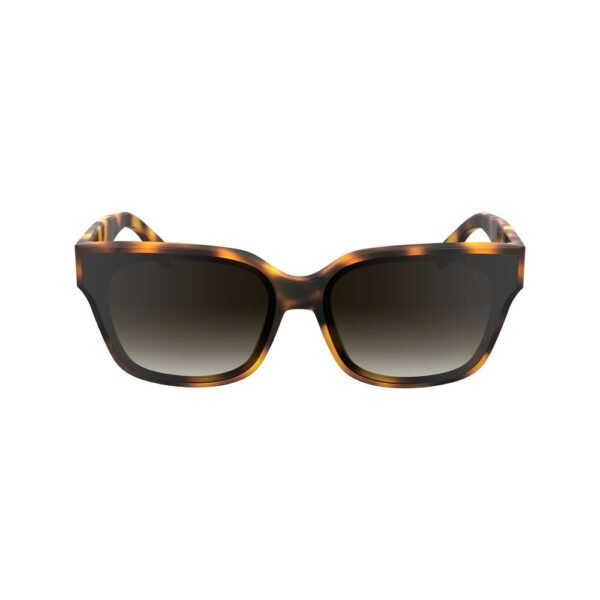 Brown Acetate Sunglasses