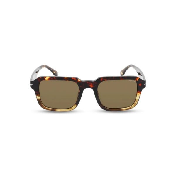 Brown Acetate Sunglasses