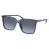 Blue Acetate Sunglasses
