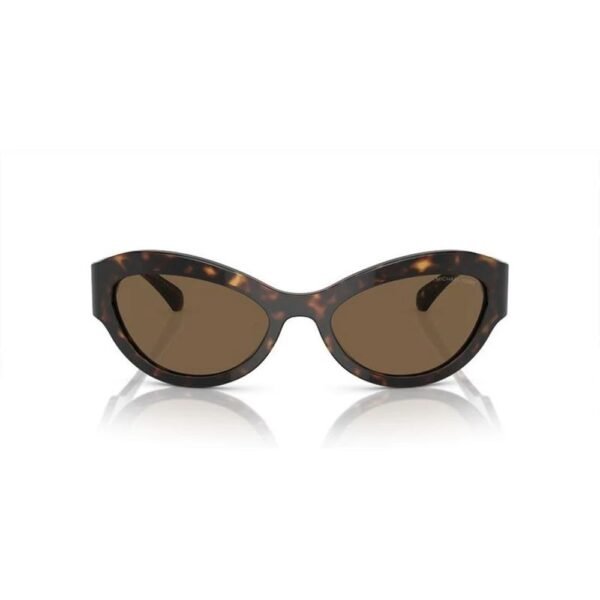 Brown Acetate Sunglasses