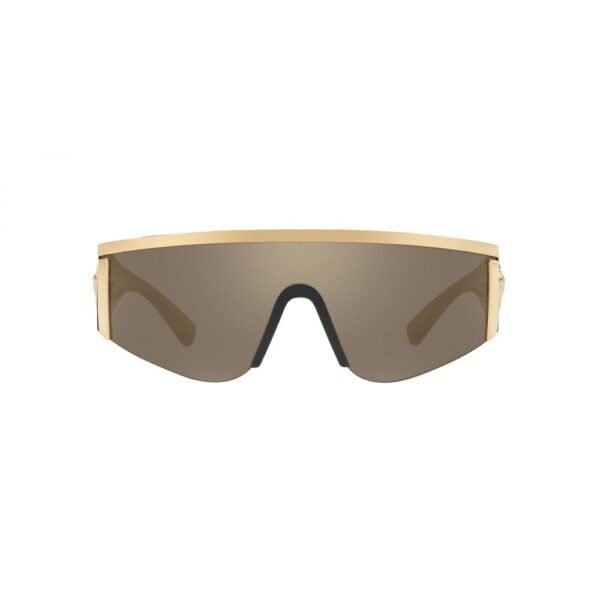 10340766.jpeg Gold Acetate Sunglasses
