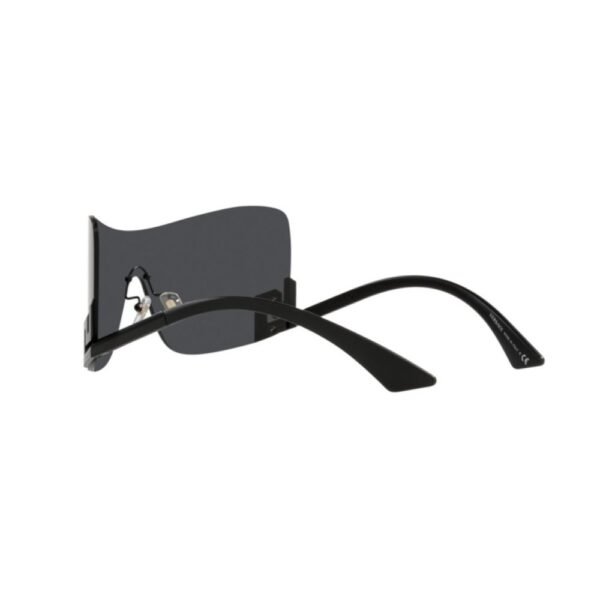 Black Acetate Sunglasses