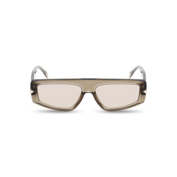 Brown Resin Sunglasses