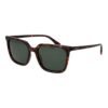Brown Polycarbonate Sunglasses
