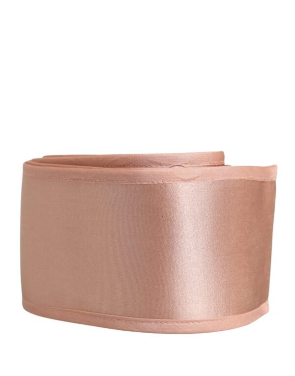 10364611.jpeg Light Pink Silk Satin Waist Women Cintura Belt
