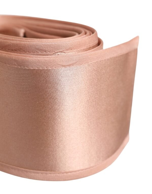 10364612.jpeg Light Pink Silk Satin Waist Women Cintura Belt