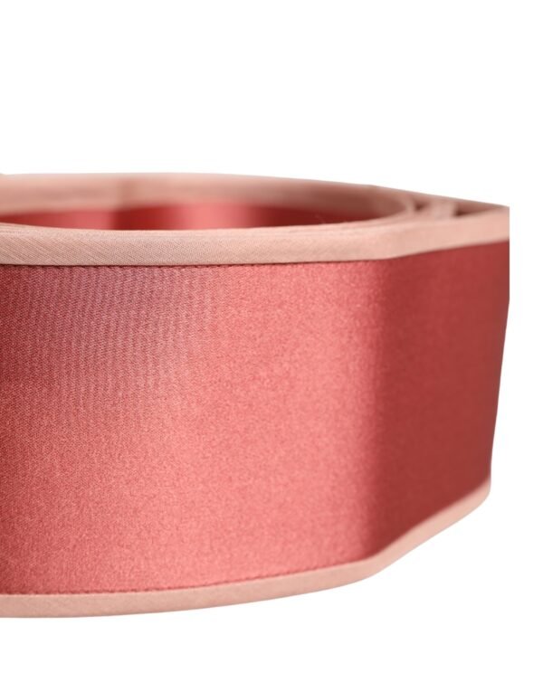 10364883.jpeg Pink Silk Satin Waist Women Cintura Belt