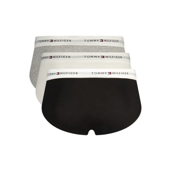 10142464.jpeg Grey Cotton Men's Briefs