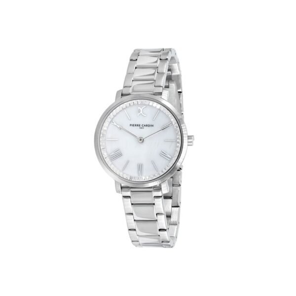 Gray Stainless Steel Dress Watch