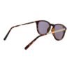 Brown Unisex Sunglasses