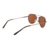 Brown Unisex Sunglasses