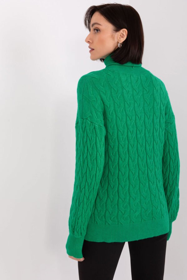 Turtleneck model 188297 AT