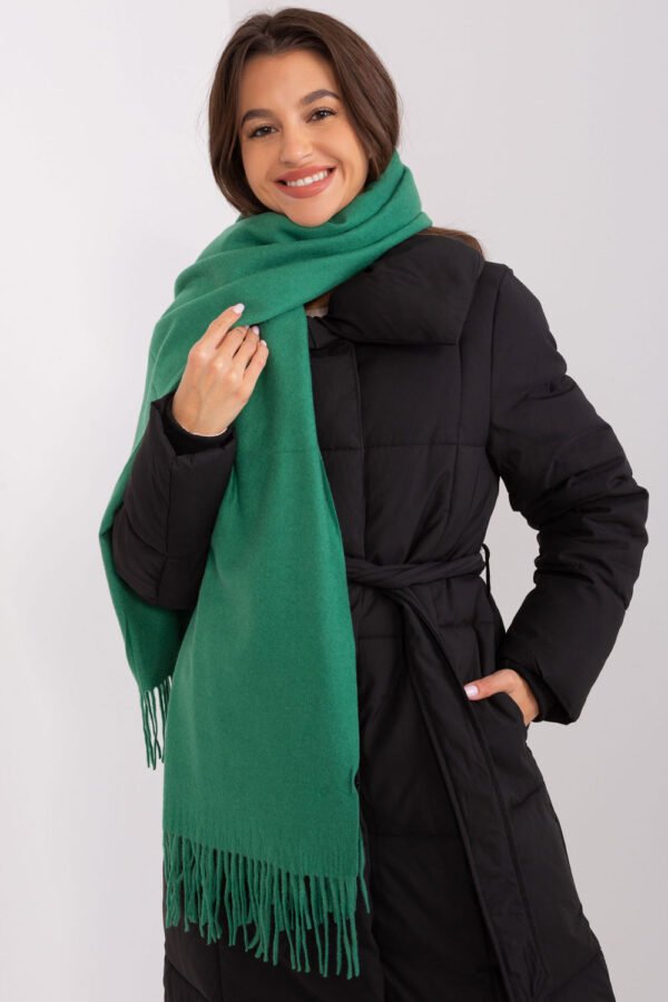 Shawl model 187608 AT