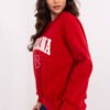 Sweatshirt model 206360 Factory Price