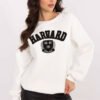 Sweatshirt model 206379 Factory Price