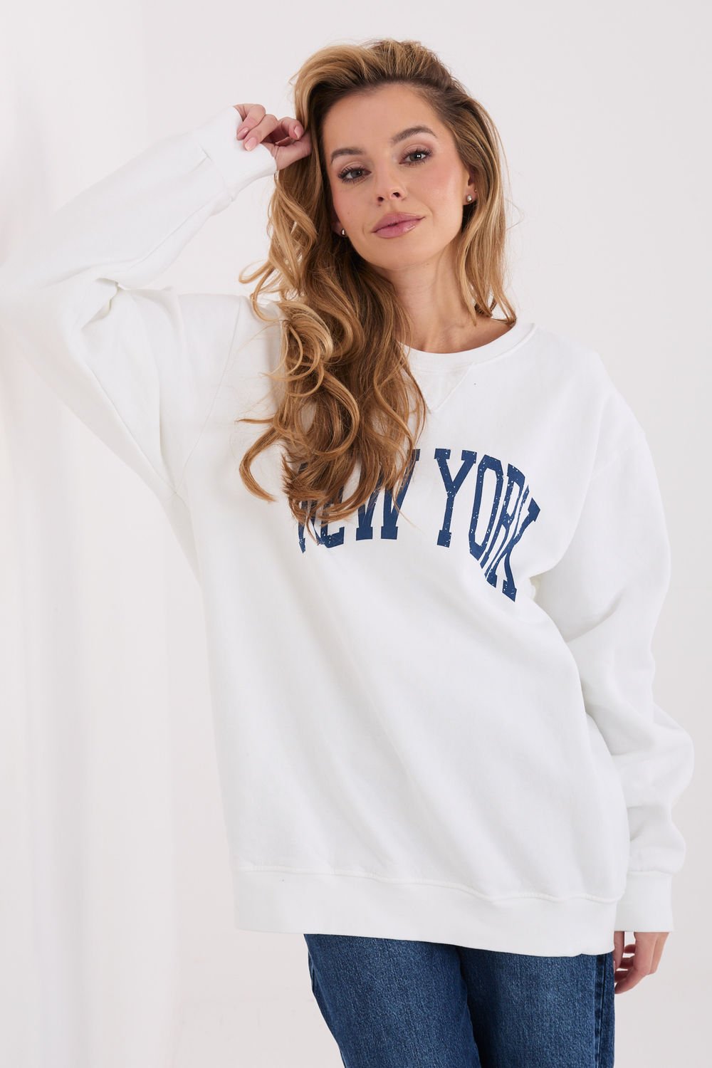 Sweatshirt model 222505 Factory Price